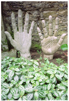 edward james-01.jpg